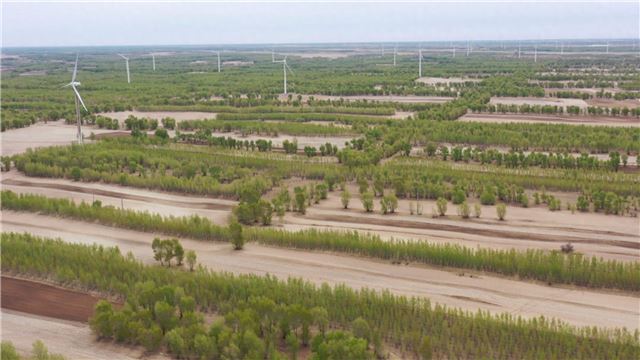 通榆县以生态项目建设促进乡村振兴
